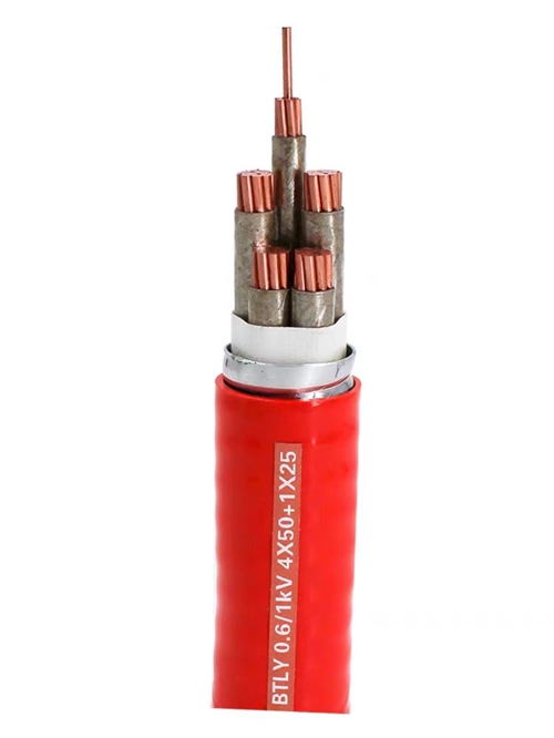 www.digitalthermostatguys.com