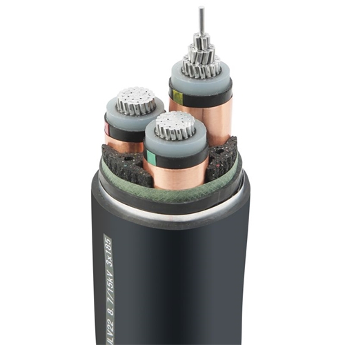 www.digitalthermostatguys.com