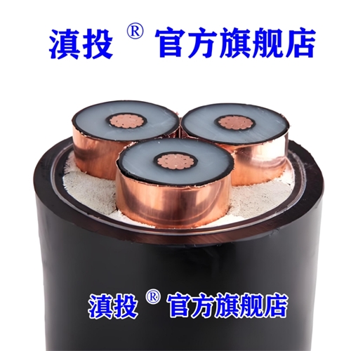 www.digitalthermostatguys.com